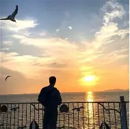 李先生